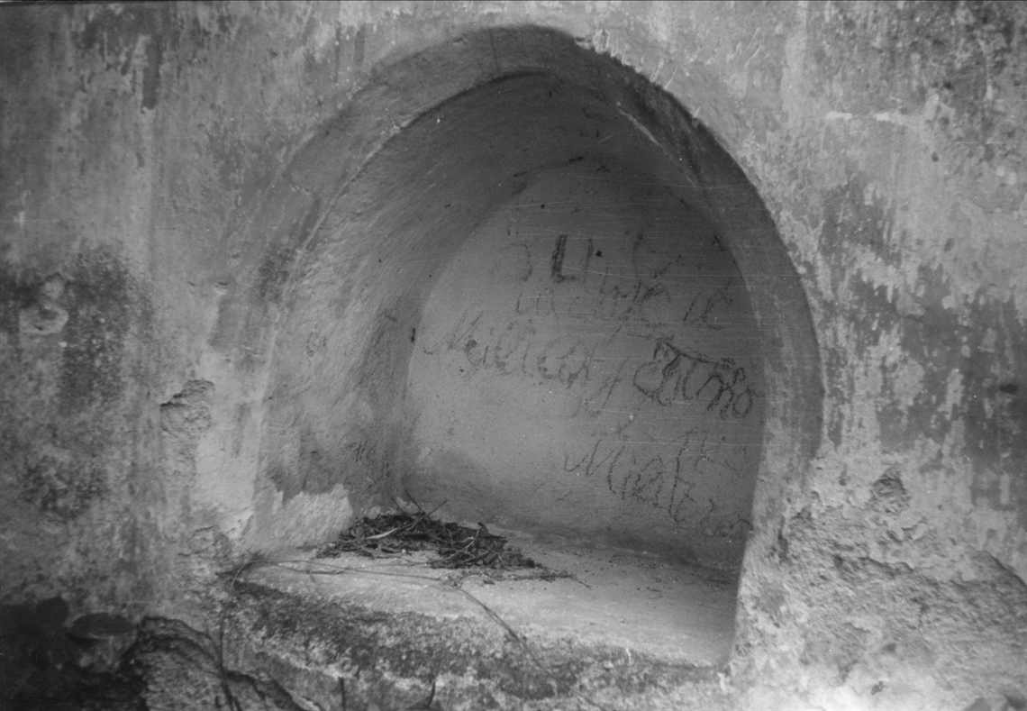 Image description